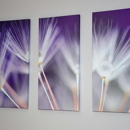 Apartamenty Krawiecka Zielona Góra Buitenkant foto